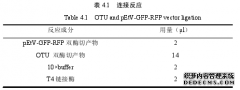 柔嫩艾美耳球虫病毒RNA依赖性RNA聚合酶互作蛋白的筛选及功能医学研究