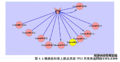 三种遗传性癌症MicroRNA异常表达计算机网络的研究