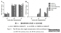 东北地区NDV分子流行病学调查及ND-AI重组病毒（rmNA-H9）的医学构建与免疫特性研究