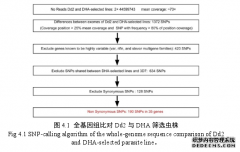 恶性疟原虫对小分子化合物库(Malaria Box)和双氢青蒿素的筛选及医学抗药性机制研究