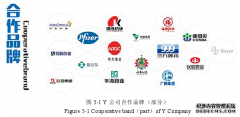 基于BSC+KPI的B2B电商企业绩效工商管理研究