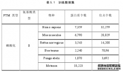 基于深度学习的蛋白质翻译后修饰位点计算机预测研究