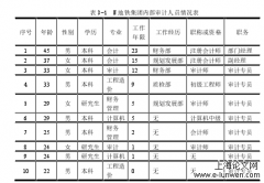 N地铁集团内部审计案例研究