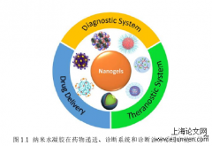 特异性聚合物纳米水凝胶的设计、合成及在生物医学方面的作用