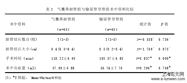 气囊鼻胆管引流