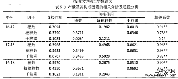 效率层次差