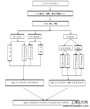 技术路线图