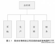 阳光生物科技公司工商发展战略管理研究