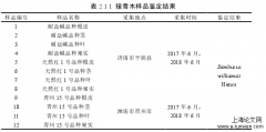 接骨木三个品种药材质量比较研究