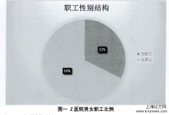 Z医院人力资源层面的研究