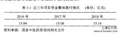 中医药公共卫生服务绩效审计探讨——以西藏地区为例