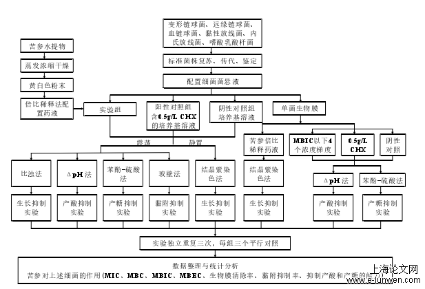 药学论文怎么写