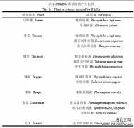 致病疫霉群体及诱导剂和杀菌剂应用到晚疫病治疗研究