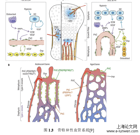 药学论文怎么写