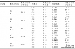 中兴通讯的战略风险管理研究