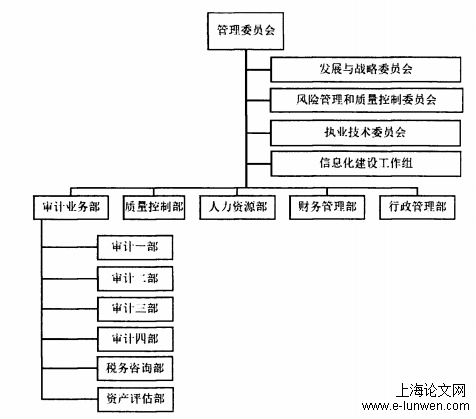 审计论文怎么写