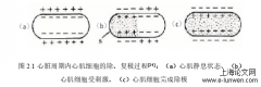 面向心肺慢病控制穿戴式生理指标监测感知技术探析