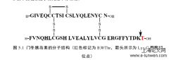 胰岛素类似物的质谱表征研究