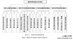 HT公司融资性贸易项目风险评价及对策研究