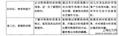 幼儿园STEM区域活动实施探究——以武汉市J园为例