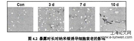 医学论文范文