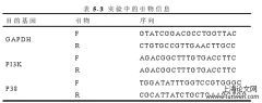 温阳益心法治疗冠心病抑郁症作用与机制实验研究