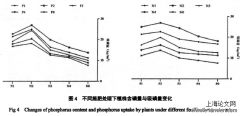 河套灌区春小麦减肥增效增产技术研究