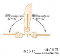 可调节支具在肘关节恐怖三联征术后早期康复作用的临床观察