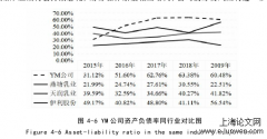 基于公司治理视角的YM公司盈余管理案例分析