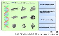 基于DNA纳米结构的智能药物递送系统的探讨