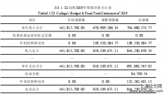 ZS高校内部控制体系问题分析