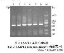 经济论文范文5篇