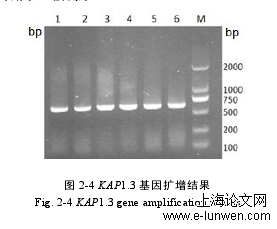 经济论文格式