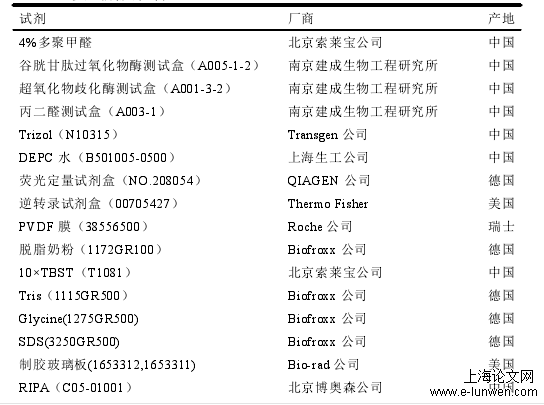 中医论文格式