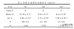 基于Wnt/β-catenin信号通路研究头穴围刺对大鼠脑梗死后血管新生的作用分析