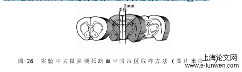 医学论文格式