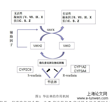 药学论文格式