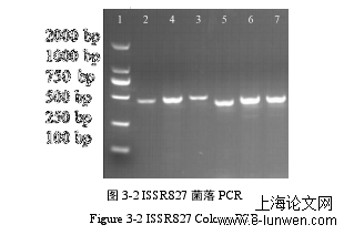 农学论文格式