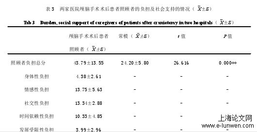 护理论文范文