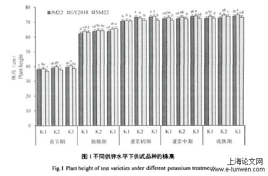 农学论文格式