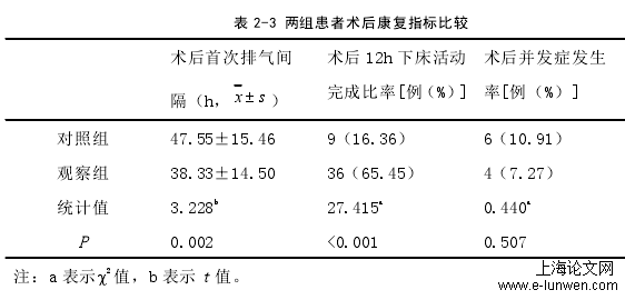 表 2-3 两组患者术后康复指标比较