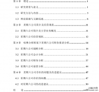 基于哈佛分析框架的星期六公司财务报表分析[财务报表分析论文]