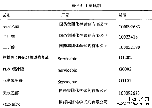 中医论文格式