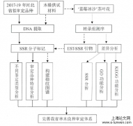 河北省审定良种SSR鉴定及木槿EST-SSR引物开发