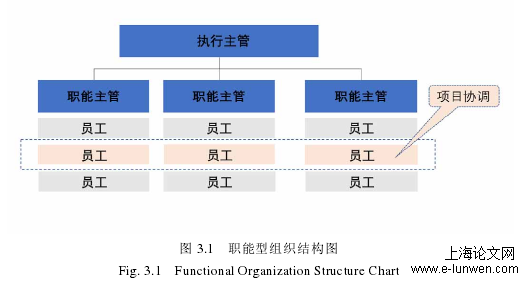 图 3.1   职能型组织结构图 