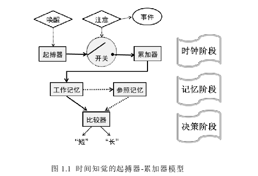 图 1.1  时间知觉的起搏器-累加器模型 